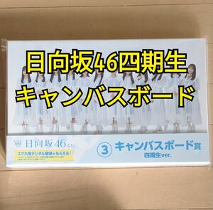 【日向坂46】キャンバスボード 四期生ver 2023年ローソン日向坂46くじ
