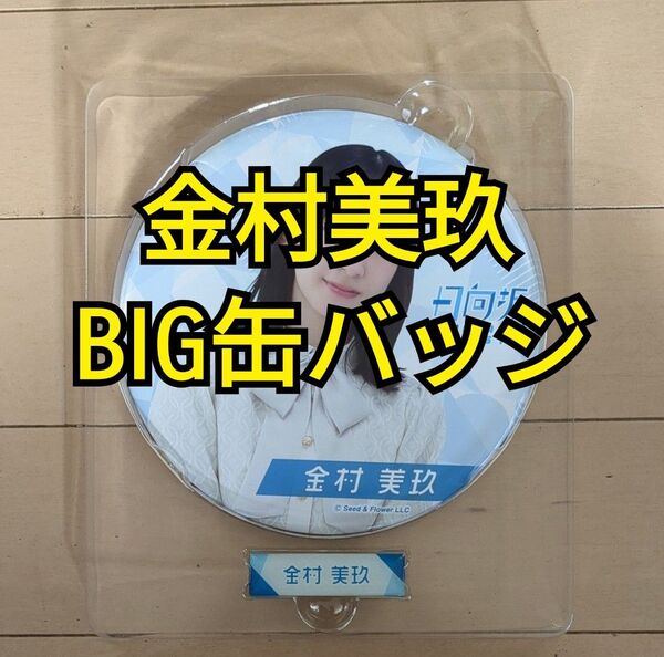 【日向坂46】金村美玖 BIG缶バッジ&ネームピンズ 2022年ローソン日向坂46くじ