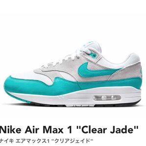 新品未使用 NIKE Air Max 1 "Clear Jade"ナイキエアマックス1 "クリアジェイド" SNKRS 国内正規品