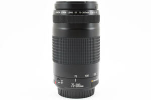 ★良品★キヤノン CANON EF 75-300m F4-5.6 II #214