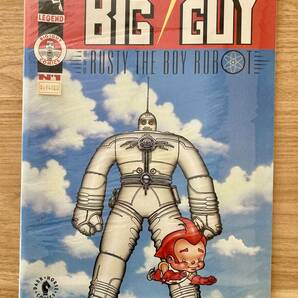 ★2冊set アメコミ「ザ・ビッグガイ&ラスティ・ザ・ボーイロボット」フランクミラー, ジェフダロウ/The Big Guy and Rusty the Boy Robotの画像1