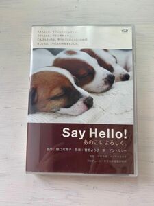 Say Hello! DVD 