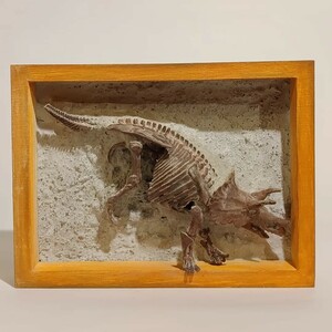 BANDAI　トリケラトプス　化石　ジオラマ　オブジェ　　額縁　プラノサウルス　完成品　塗装済み