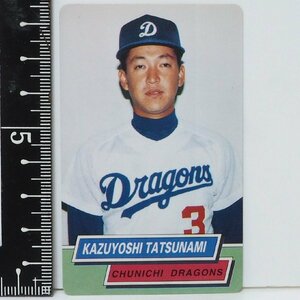 95 year Calbee Tokyo snack Professional Baseball card rare block No.104[.. peace . inside . hand Chunichi Dragons ] Heisei era 7 year 1995 year that time thing Calbee extra Shokugan 