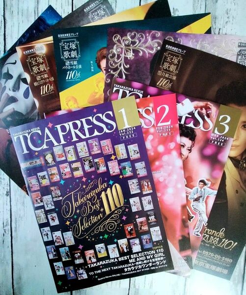 宝塚TCAPRESS3冊　フライヤー6枚　合計9点 