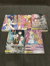 100 【まとめ売り】 アニメ小説詰め合わせ 創約とある魔術の禁書目録（インデックス） 1〜7巻、15〜 22巻 22（リバース）巻 よ_画像2