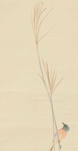【真作】◆荒木十畝◆花鳥図◆秋景◆日本画◆肉筆◆紙本◆掛軸◆t615_画像4