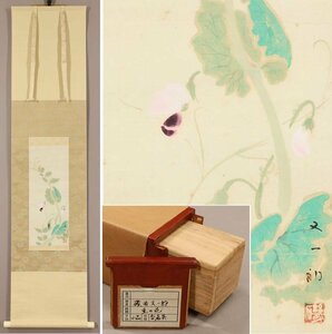 【真作】◆磯田又一郎◆豆の花◆共箱◆二重箱◆京都◆肉筆◆紙本◆掛軸◆t541