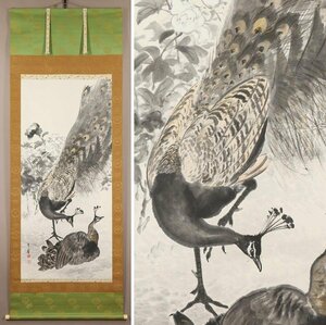 Art hand Auction [Authentic work] ◆ Hideshi Kato ◆ Extensive ◆ Peacock drawing ◆ Aichi Prefecture ◆ Japanese painting ◆ Shijo school ◆ Hand-painted ◆ Paperback ◆ Hanging scroll ◆ t543, painting, Japanese painting, flowers and birds, birds and beasts