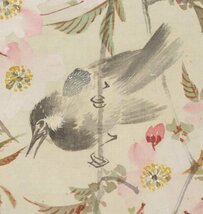 【不明】◆菱仙◆桜に小鳥◆花鳥◆さくら◆日本画◆肉筆◆絹本◆掛軸◆t513_画像7