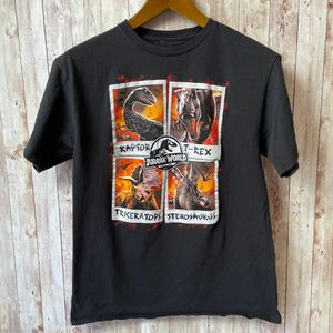 【送料込み】Tシャツ 黒 ブラック ジュラシックパーク　サイズS　ムービー　映画Ｔシャツ　メンズ　古着