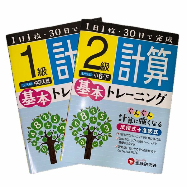 計算 ドリル 1日1枚 30日で完成 計算1級 2級 基本トレーニング レベル中学入試 小6 2冊セット 受験研究社