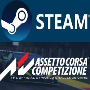 ※コード通知※ Assetto Corsa Competizione アセットコルサ PC STEAM