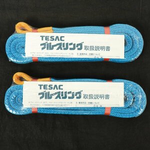 未使用 テザック ブルースリング 2本セット 4E 25mm(幅)×2m 使用荷重：1t 両アイ JIS規格 スリング 吊り具 ワイヤー ロープ 帯 [B2282]