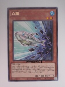 遊戯王 白鰯 字レア 1枚 未使用品 日版 PHNI 数量9 ホワイト・サーディン