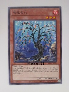 遊戯王 冷える火 ノーマルレア 1枚 未使用品 日版 LEDE 数量3