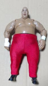 ジャックス　jakks　wwe フィギュア　12