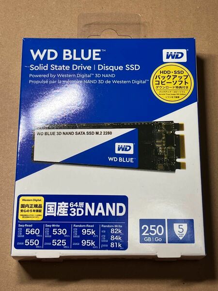 WD Blue M.2 SATA 250GB SSD NGFF