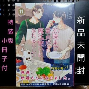 新品【BL】 30歳まで童貞だと魔法使いになれるらしい(11)特装版 豊田悠