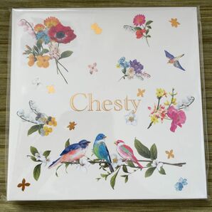 【未使用】Chesty　レターブック　チェスティ　レターセット　手紙