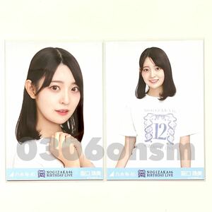 《乃木坂46》公式グッズ 生写真 阪口珠美　セミコンプ 12thBDライブTシャツ 生写真　バースデー (anniversary 会場限定 12周年記念