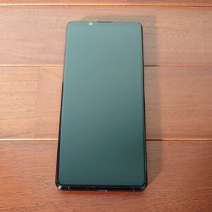 Xperia 1 II DOCOMO SIMフリー フロストブラック