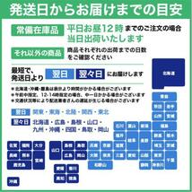 【サンプル 和紙ラベル 金がすみ・銀がすみ 0.23mm A4サイズ：2種類各2枚 計4枚_画像4