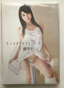 未開封 未使用　緋川さくら / Scarlett Cherry メーカー: スパイスビジュアル　型番: MBR-AB016 グラビア　アイドル　着エロ