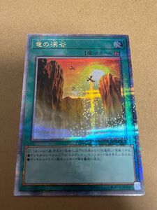 本日削除 遊戯王 OCG 竜の渓谷 25thシークレットレア