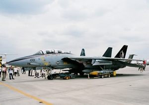 * fighter (aircraft) image *F-14 Tomcat VF154 black Nights 3 cut 