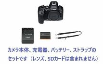 ◆レンタル◆3/18到着-3/19ご返却発送◆Canon EOS R6 MarkⅡボディ単体★RF28-70mmF2.0+ステレオマイクロホン+SDカード_画像2