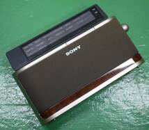 動作品 SONY ソニー AM/FM シンセサイザー ポータブル ラジオ ICF-A101 オーディオ機器_画像7