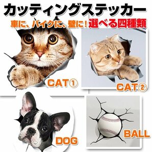 3D感のカーステッカー ウォールステッカー インテリアシール トリックアート だまし絵 はがせる キズ隠し 3DCAT1521/覗く猫の画像2