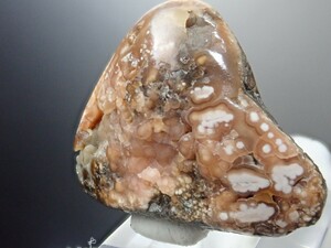 【貝化石中に結晶】ロードクロサイトonシェルフォッシル　菱マンガン鉱on 貝化石　インカローズ　原石　標本