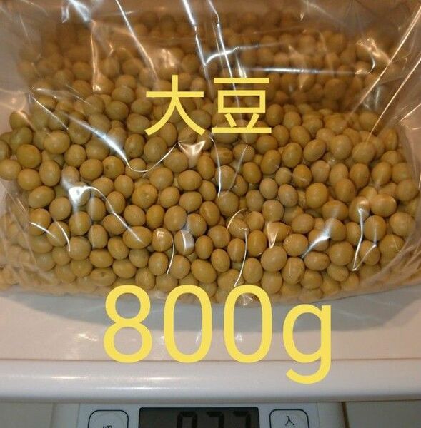 自家栽培 大豆 800g 家庭用 サラダ用