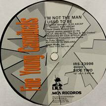 12! FINE YOUNG CANNIBALS / I'M NOT THE MAN I USED TO BE! NORMAN COOK! JAZZIE B! NELLEE HOOPER! 1989! _画像6