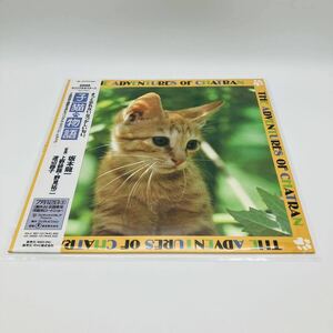 坂本龍一 子猫物語 オリジナル・サウンド・トラック 12インチ LP レコード 帯付 初回特典ポスター付 上野耕路 野見祐二 渡辺蕗子 映画音楽