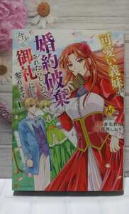 ★可愛い義妹が婚約破棄されたらしいので、今から「御礼」に参ります。桜井しおり/春先あみ