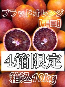 箱込10kg発送 ブラッドオレンジ 【モロ】愛媛県産 柑橘 みかん 果物
