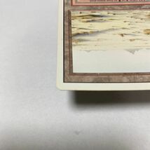 【Dualland】 Badlands 3ED 英語 1枚 MTG マジックザギャザリング Magic the Gathering カード_画像4