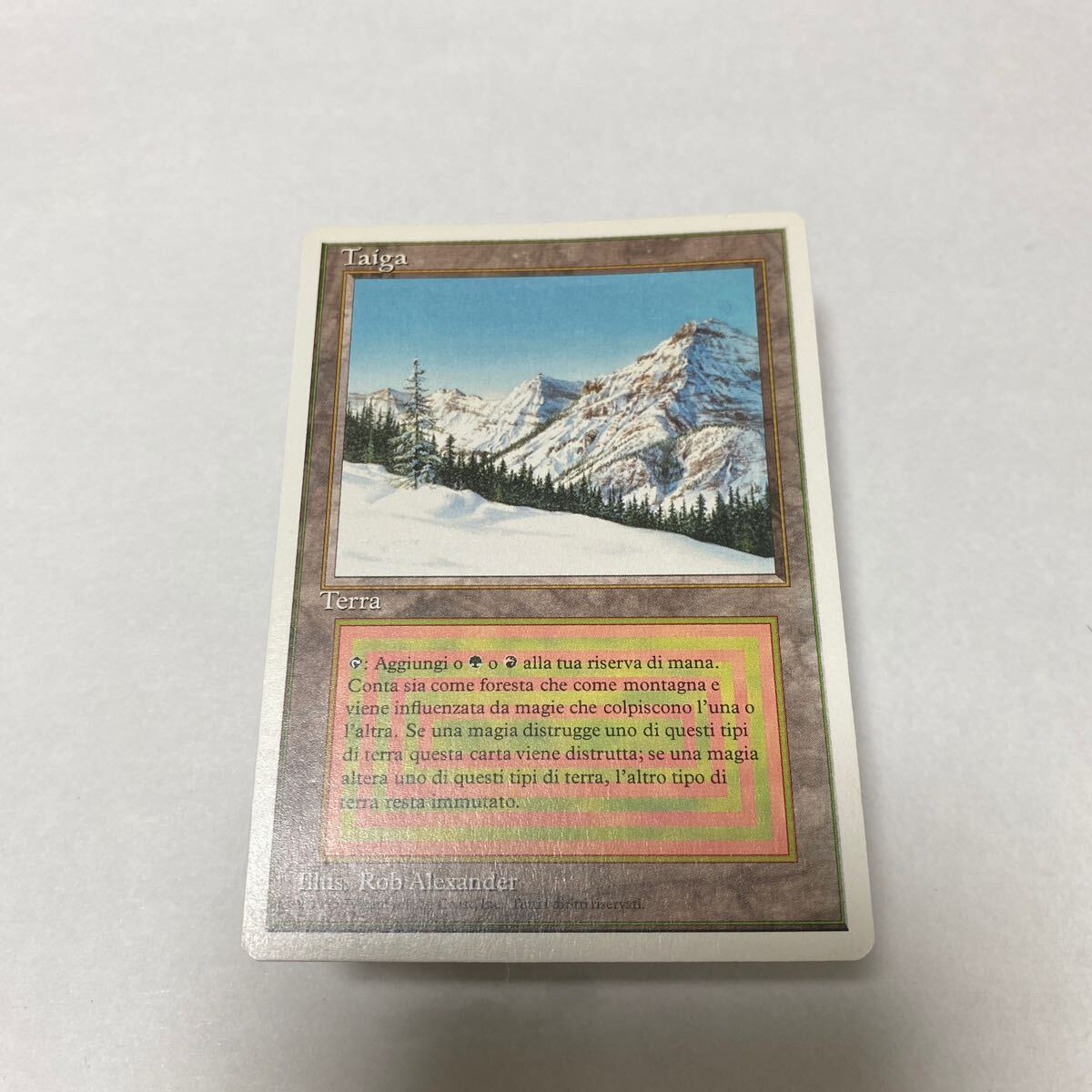 2025年最新】Yahoo!オークション -taiga mtgの中古品・新品・未 2025年最新】Yahoo!オークション -taiga mtgの中古品・新品・未