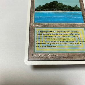 【Dualland】 Tropical Island 3ED イタリア語 1枚 MTG マジックザギャザリング Magic the Gathering カード の画像3