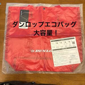 DUNLOP ダンロップ エコバッグ テニス マルチバッグ トートバッグ DTC2241