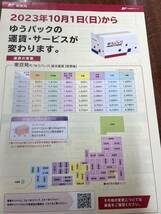 ④雄セ人工飼育 東京多摩川産　成虫キリギリス雄2匹　合計2匹　　鳴きます　(定形外発送は全国一律500円)_画像8