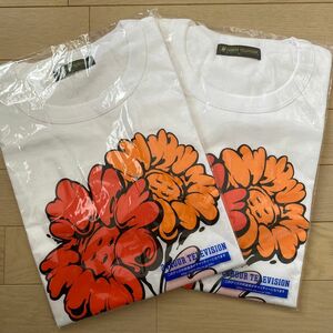 24時間チャリティーＴシャツMサイズ２枚