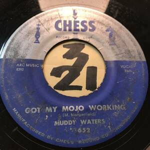 試聴 MUDDY WATERS GOT MY MOJO WORKING VG(+) SOUNDS EX 