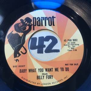 試聴 新品64年パブ・ロック BILLY FURY BABY WHAT YOU WANT ME TO DO ジミー・リード・クラシック/アーマ・フランクリンもカヴァー 