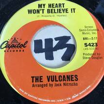 試聴 新品/ ジャック・ニッチェ編曲による THE VULCANES POISON IVY _画像2