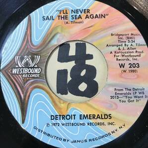 試聴 DETROIT EMERALDS BABY LET ME TAKE YOU (IN MY ARMS) 両面NM の画像2