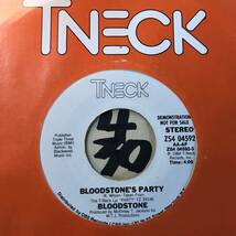 試聴 新品 BLOODSTONE BLOODSTONE’S PARTY _画像1